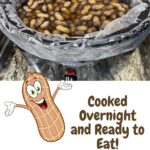 boiled peanuts cooked in a crockpot