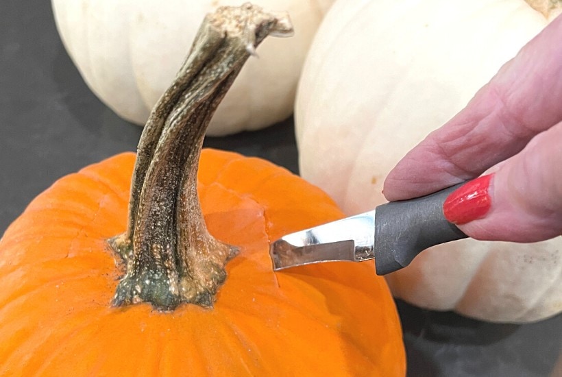 Don’t Forget to Save Your Pumpkin Stems!