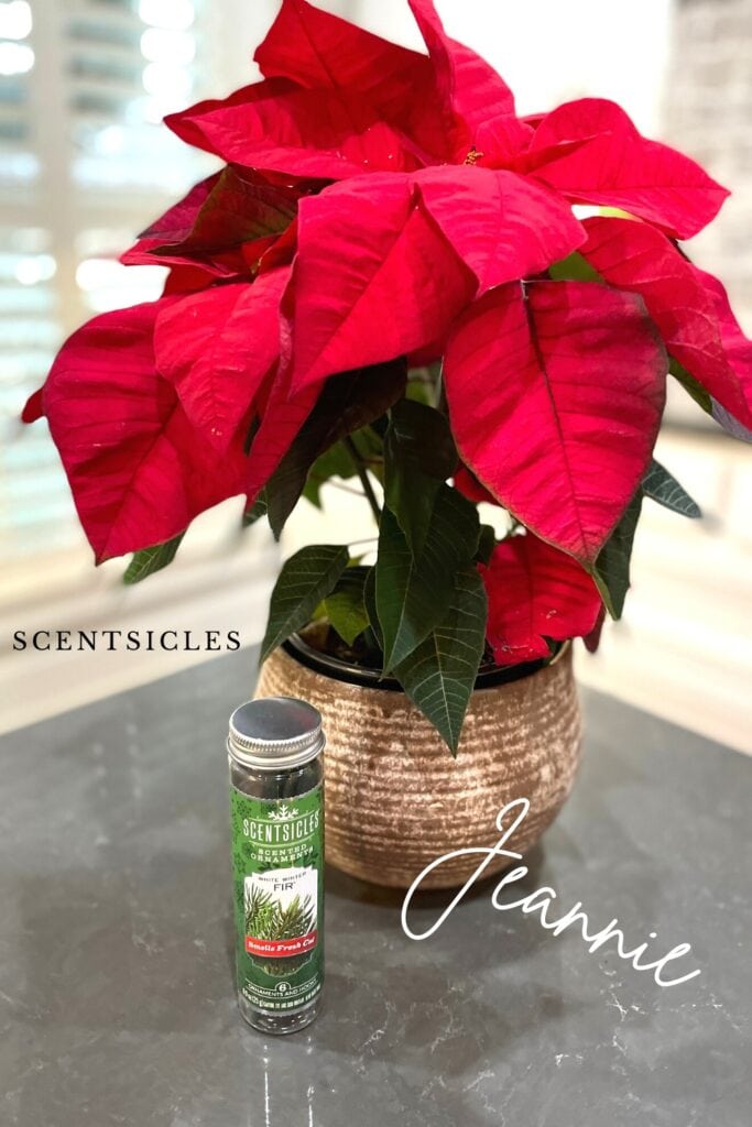 Scentsicles that you can purchase from Walmart to give your home a nice smell. I tucked one in a flower pot of Poinsettias