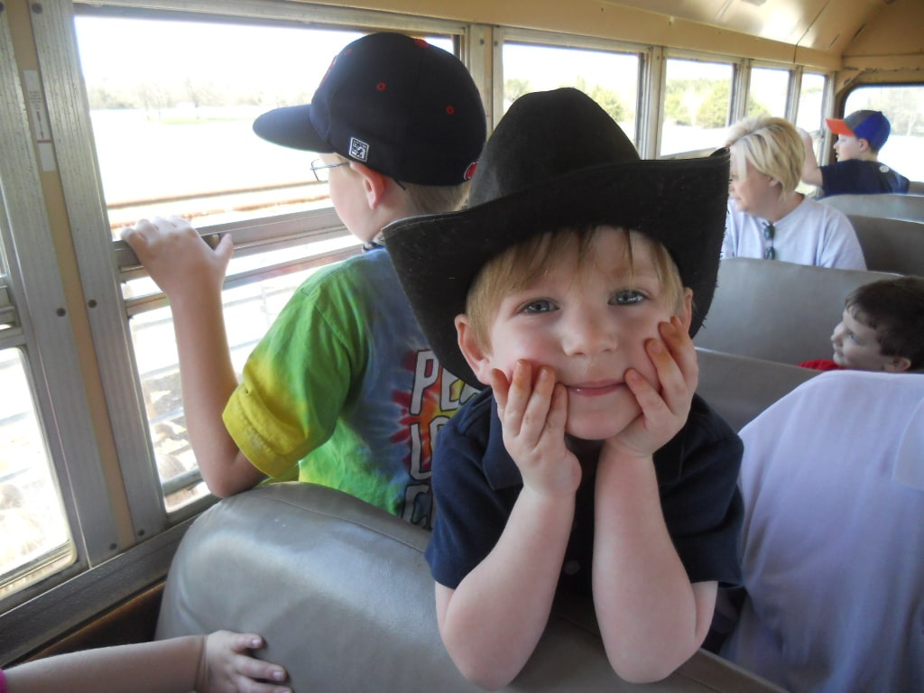 on the bus at the buffalo park, thinking about making a cardboard box barn!