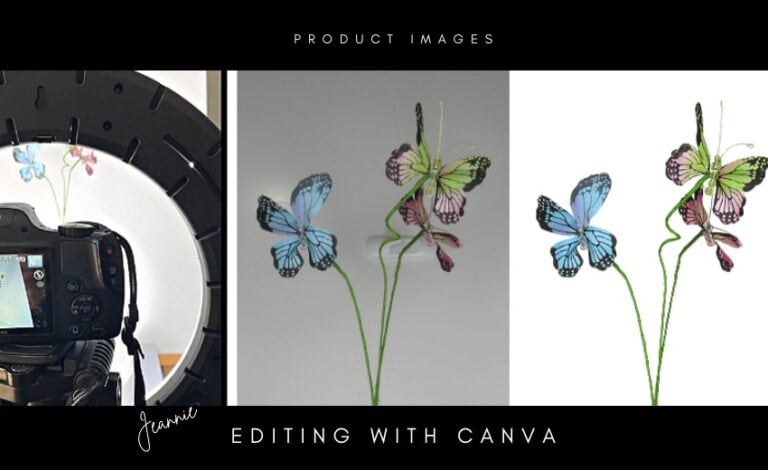 product image edit with canva