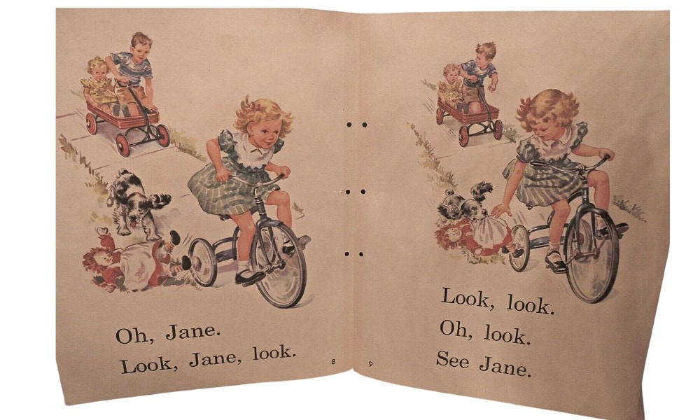 vintage dick and jane reader