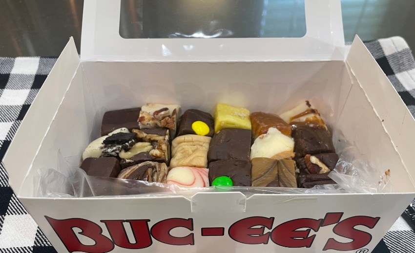 assorted fudge from buc-ee's