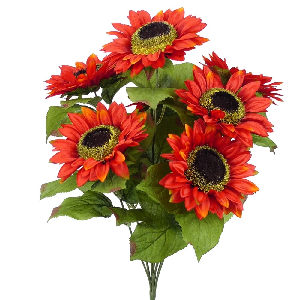 reddish orange sunflower bush