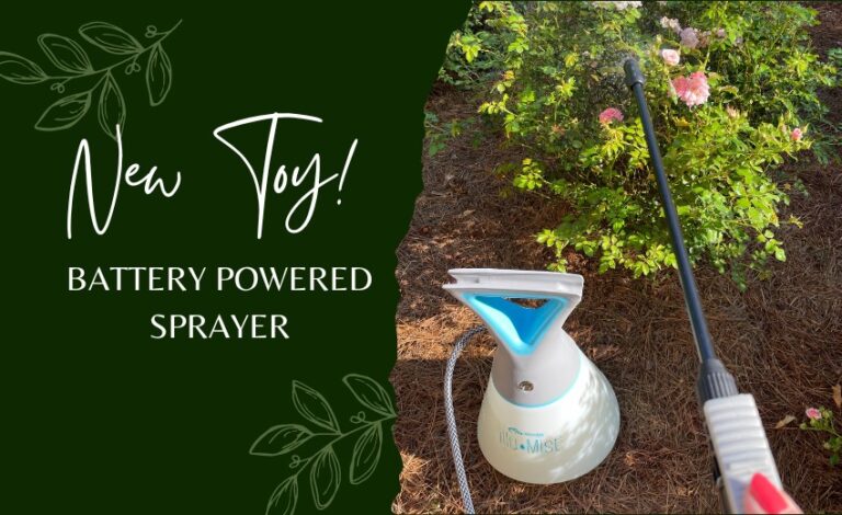 battery powered garden spray