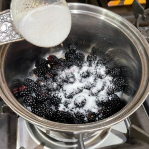 add sugar to blackberries