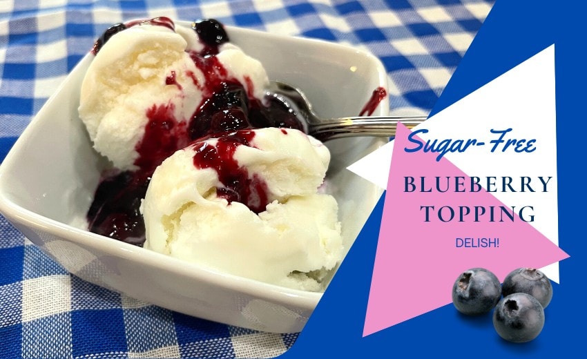 sugar-free blueberry topping over vanilla ice cream