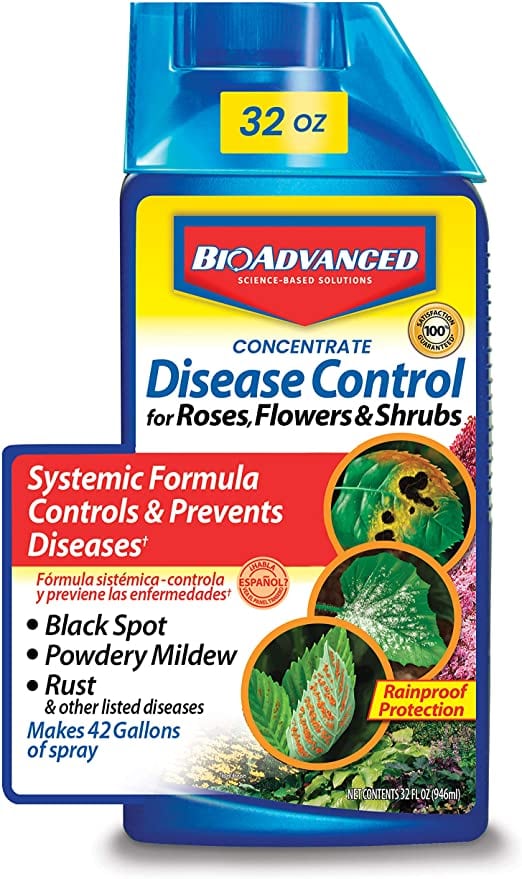 product for getting rid of mildew and black spot on roses