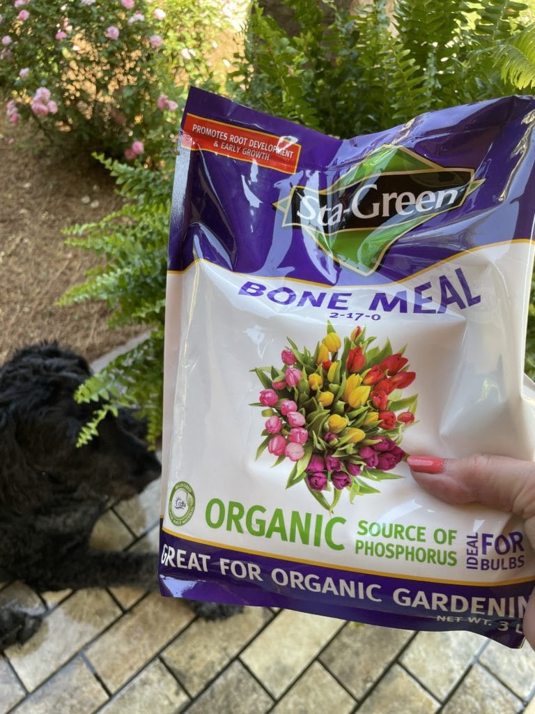 bone meal to feed ferns