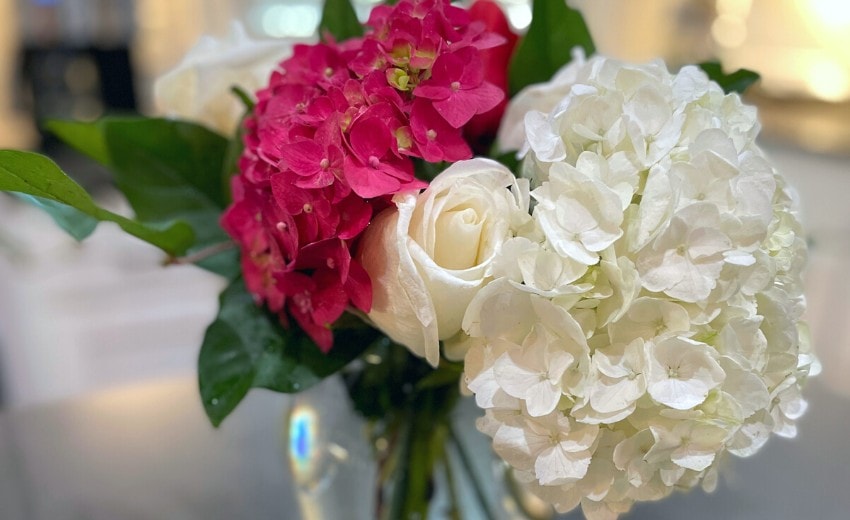 raspberry and white hydrangeas