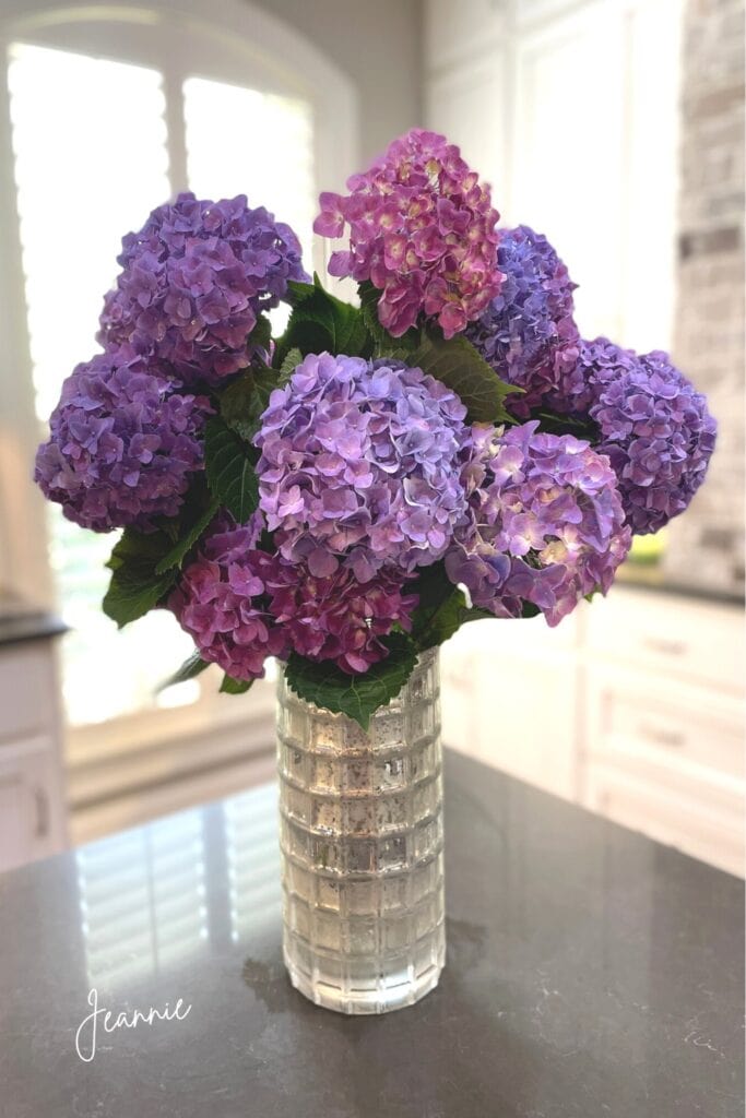 fresh hydrangeas in wide-mouth vase