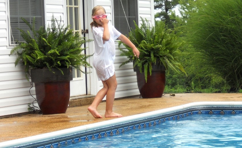 kimberly queen or sun ferns at the pool house