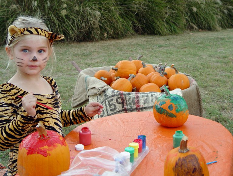 painting pumpkins