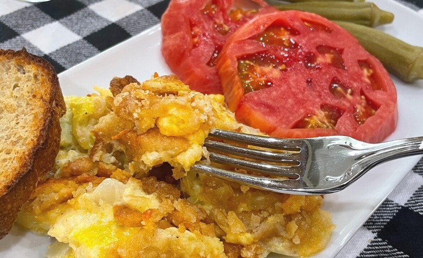 baked squash casserole ready to eat, closeup view