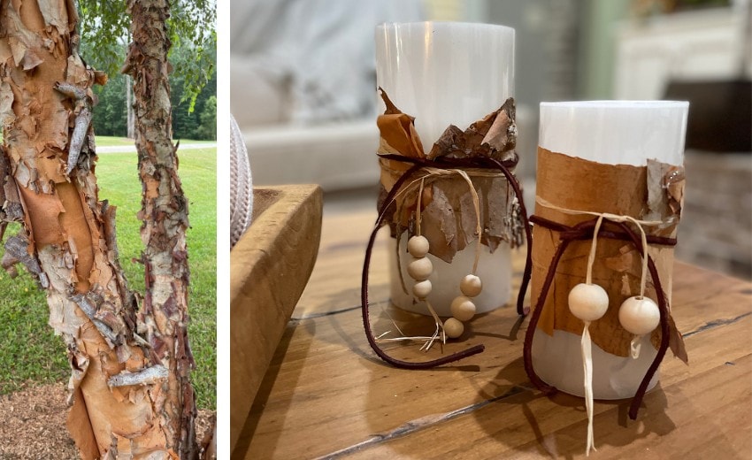 Decorate Candles for Fall with Birch Bark