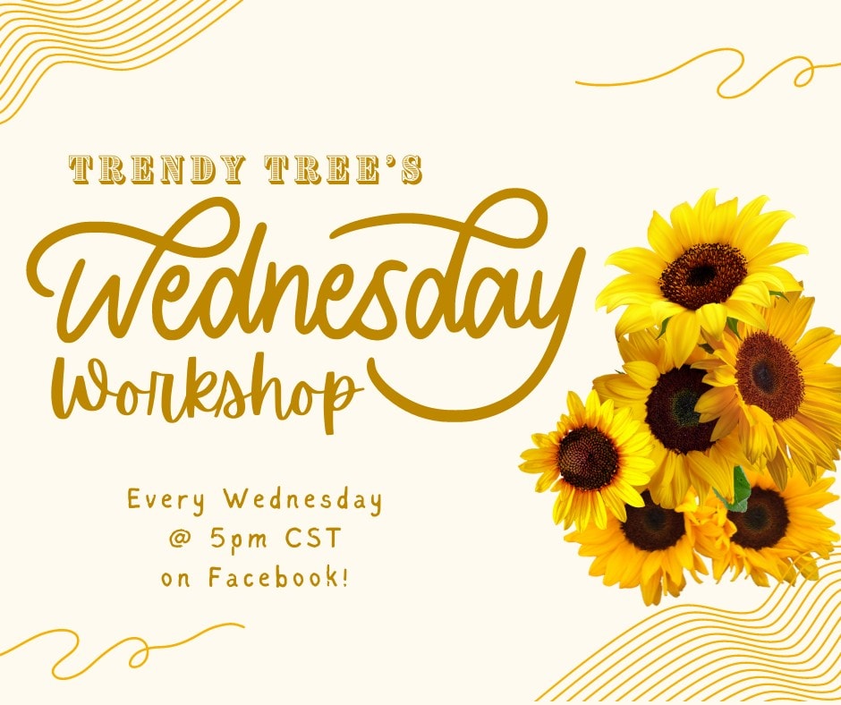 wednesday workshop at trendy tree