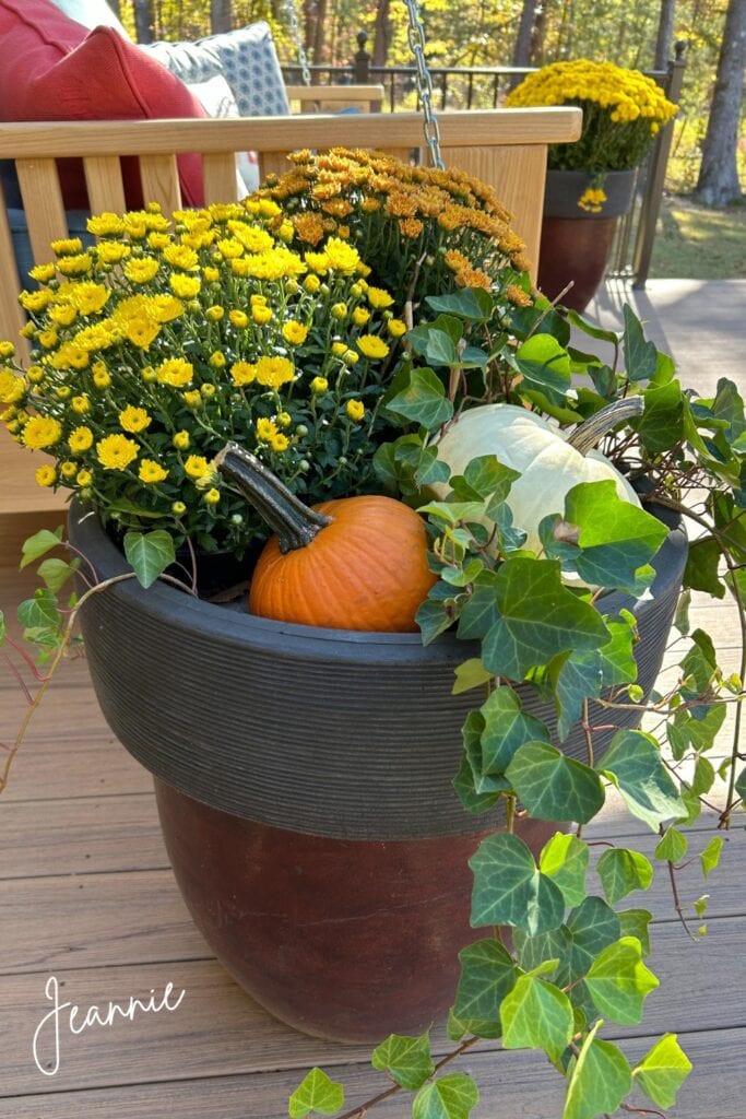 fall planter filled with mums