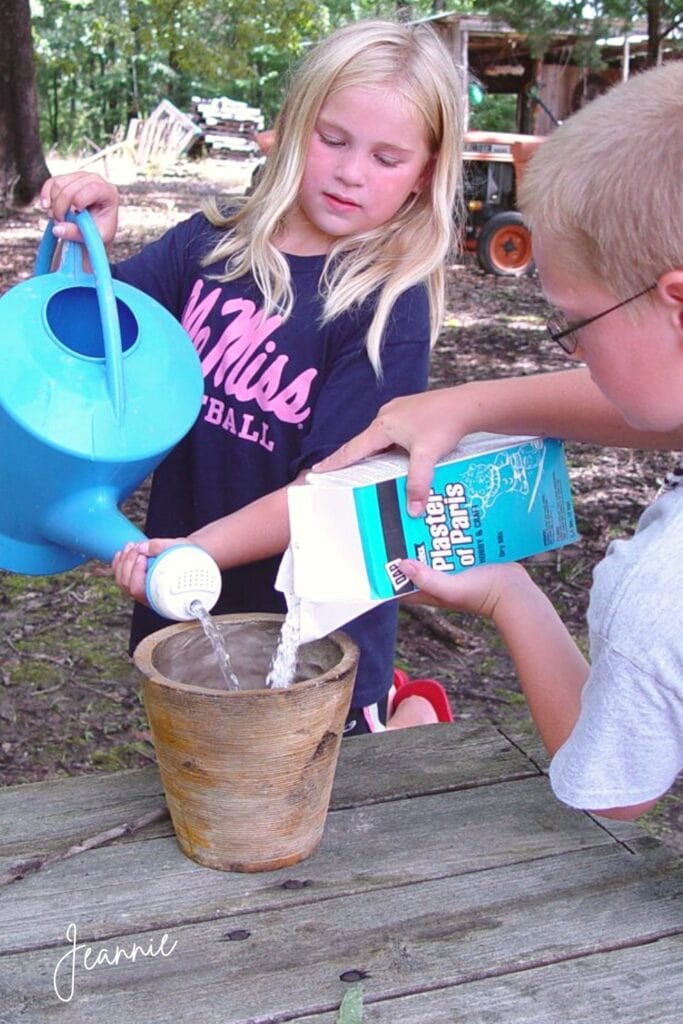 plaster of paris