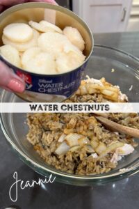 drain water chestnuts and add to chicken