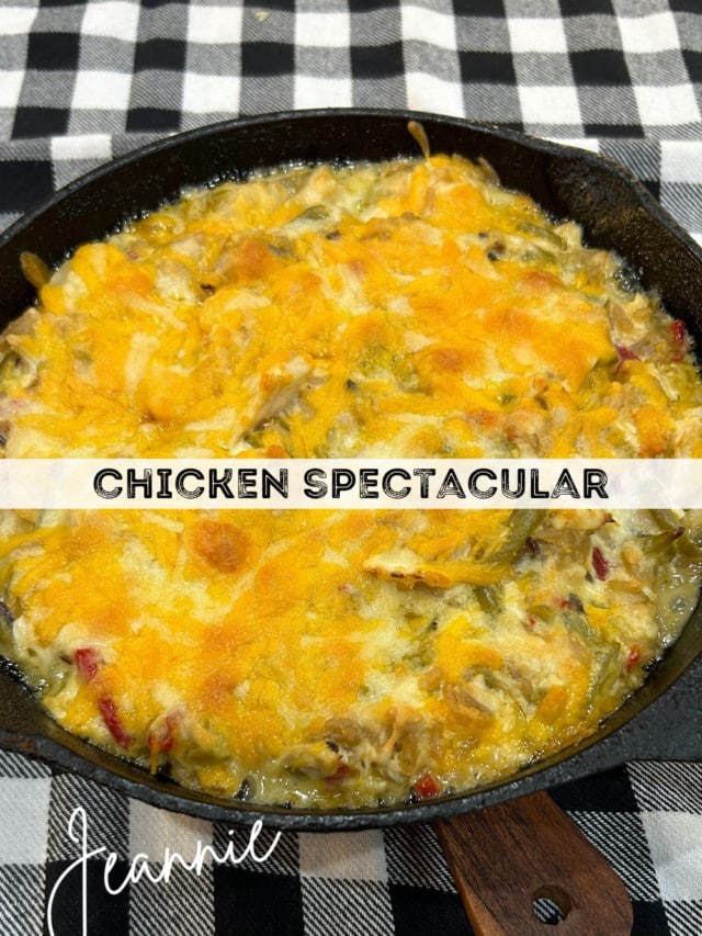 chicken spectacular