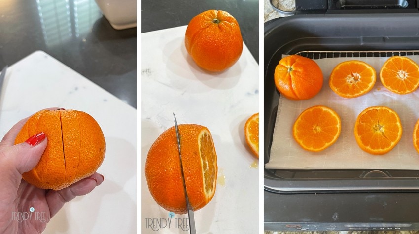 slicing oranges for dehydration