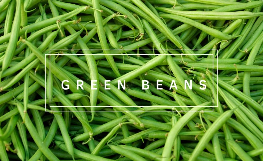 fresh green beans