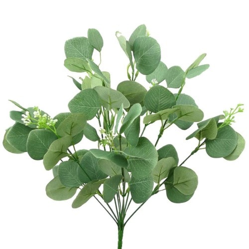 13510g-eucalyptus-bush