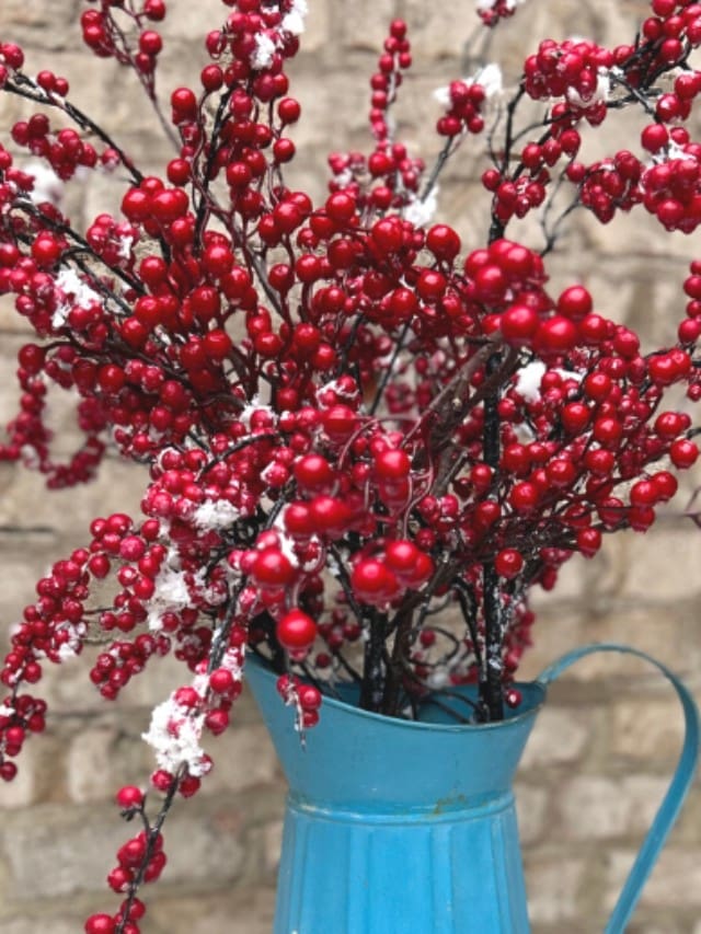 red berry sprays