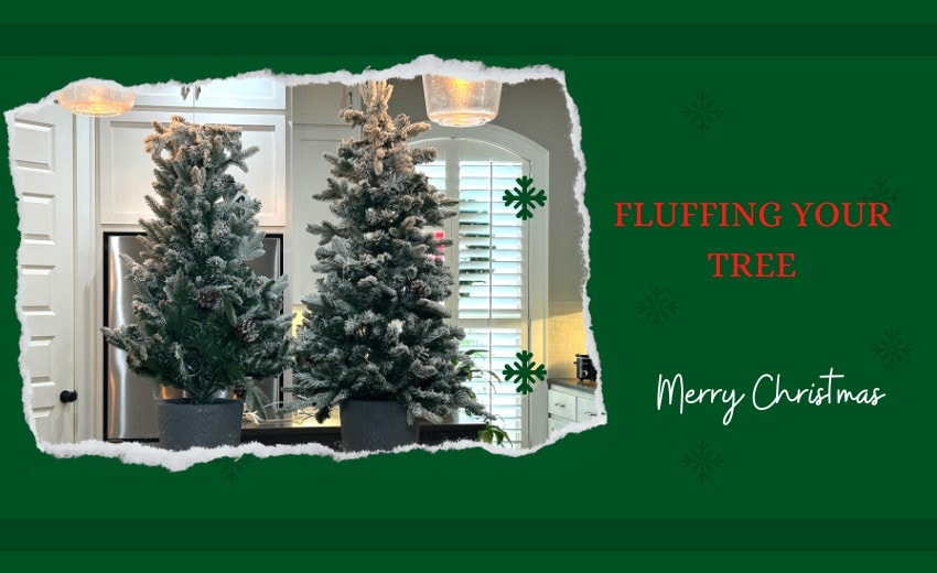 fluff a christmas tree