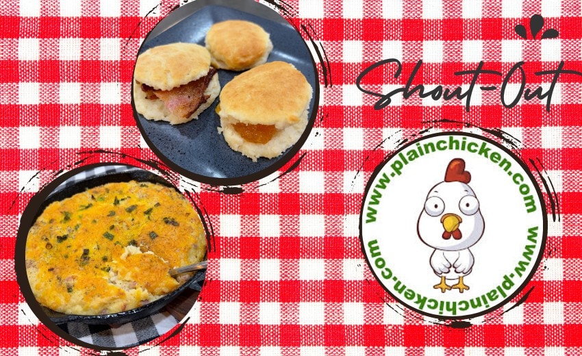 Shout-Out to Plain Chicken Food Blog