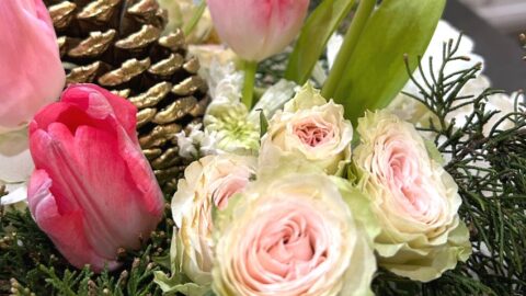 spring flowers in the dead of winter