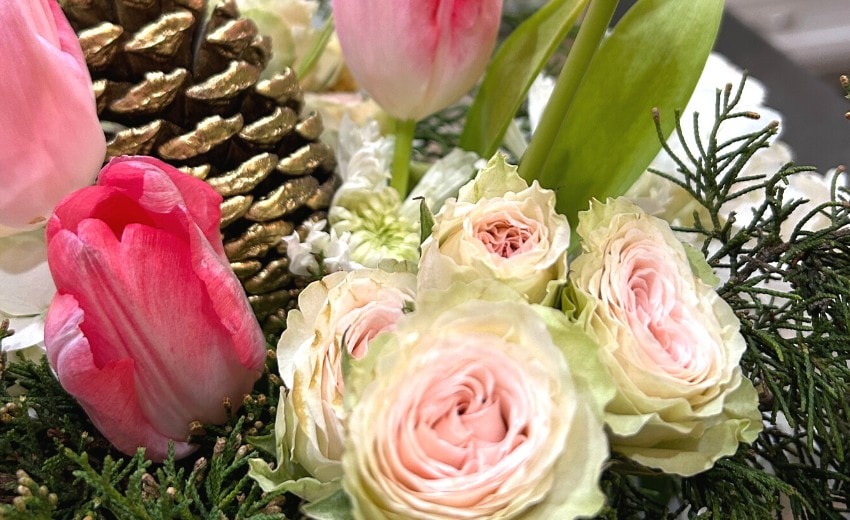 Cabbage Roses, Tulips & Hydrangeas