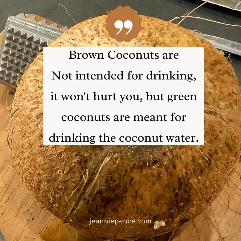 brown coconut ready to be cracked open and shredded