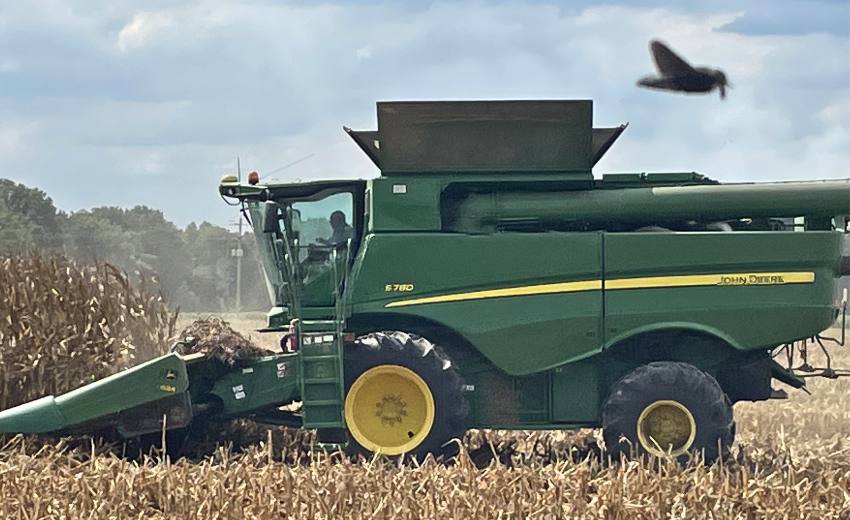 corn harvester