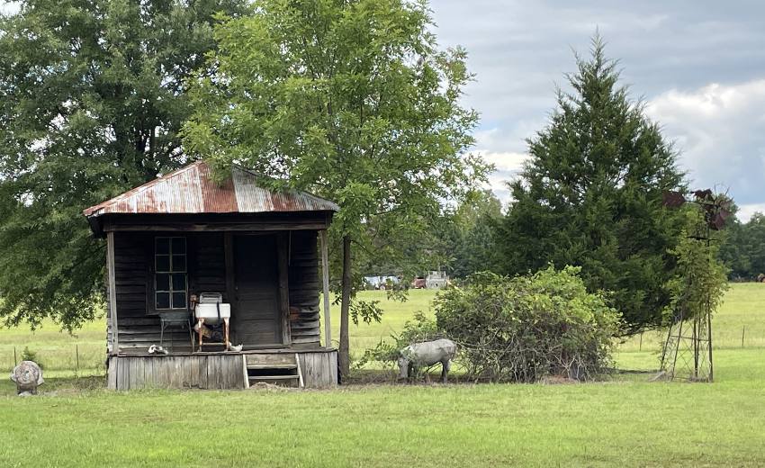 shack in the delta