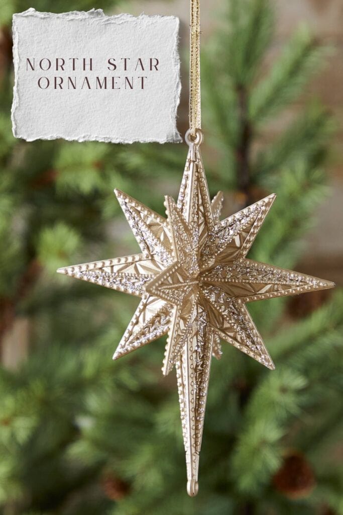 champagne gold North Star Christmas ornament from RAZ available at Trendy Tree