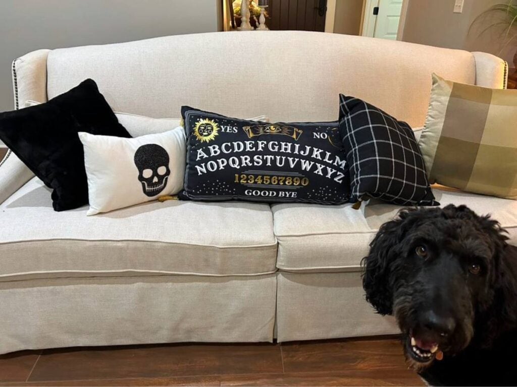 Black, white Halloween pillows, Ouija Board pillow, Browser