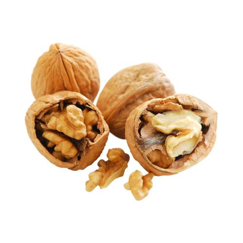 walnuts in the shell