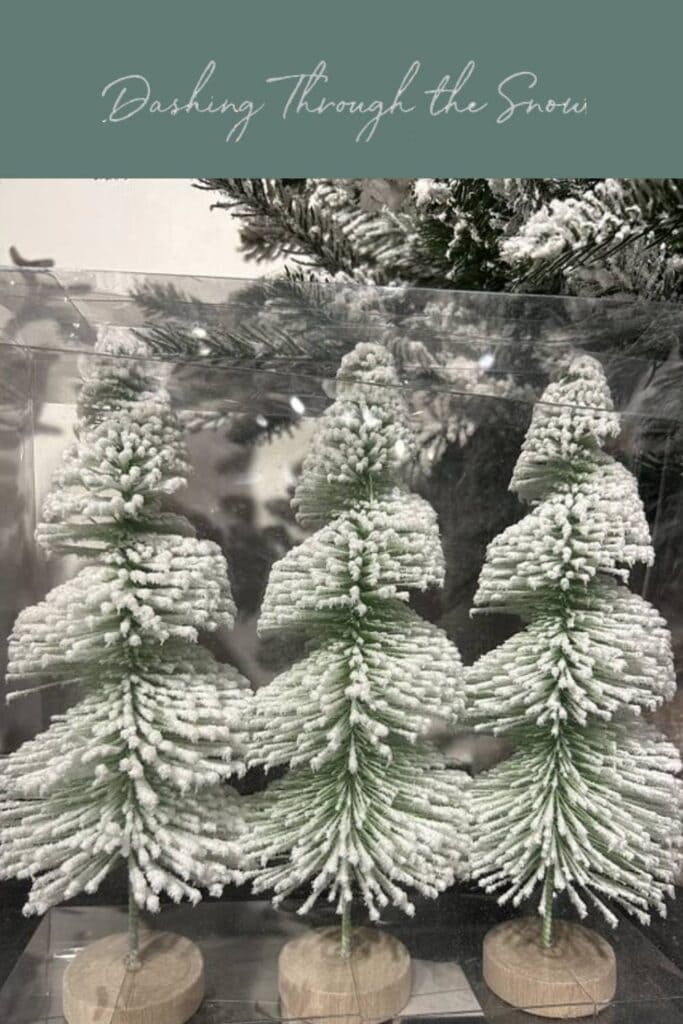 bottle brush trees