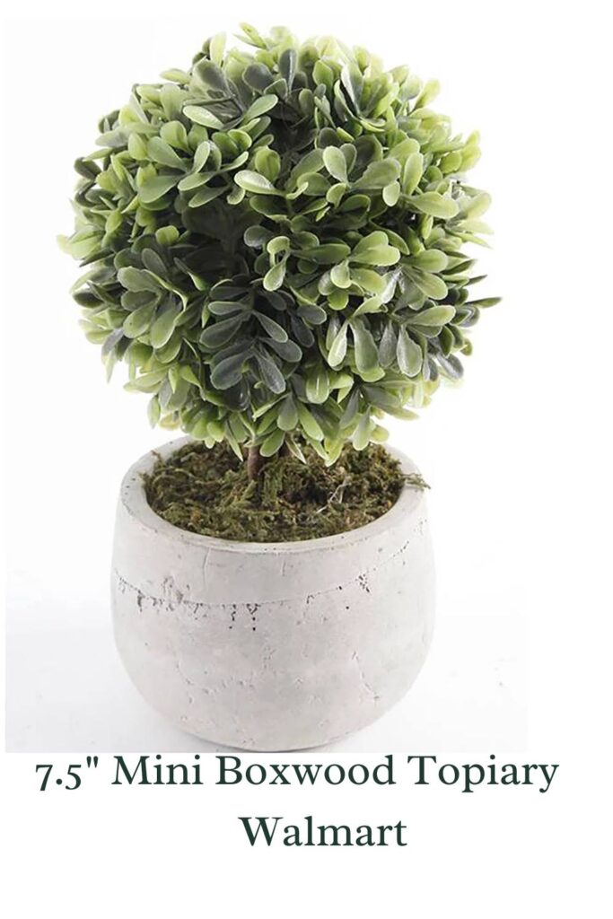 mini boxwood topiary from Walmart