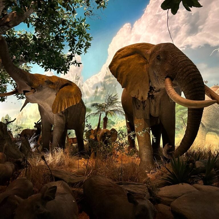 bass pro shop museum and aquarium