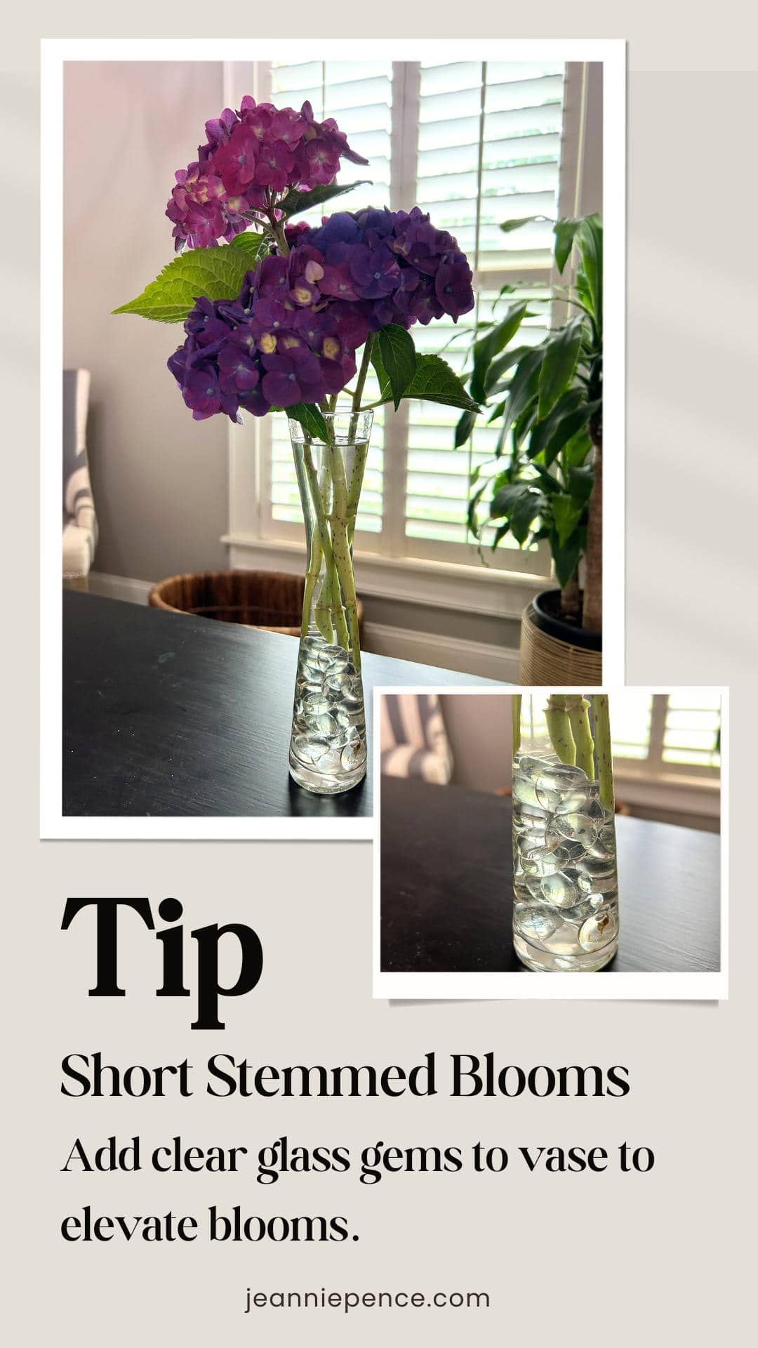 short stemmed hydranges in a vase filled with clear glass gems