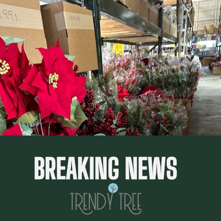 trendy tree warehouse