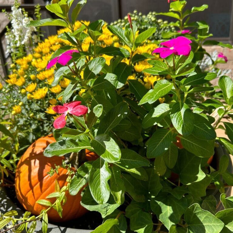 fall porch planter ideas