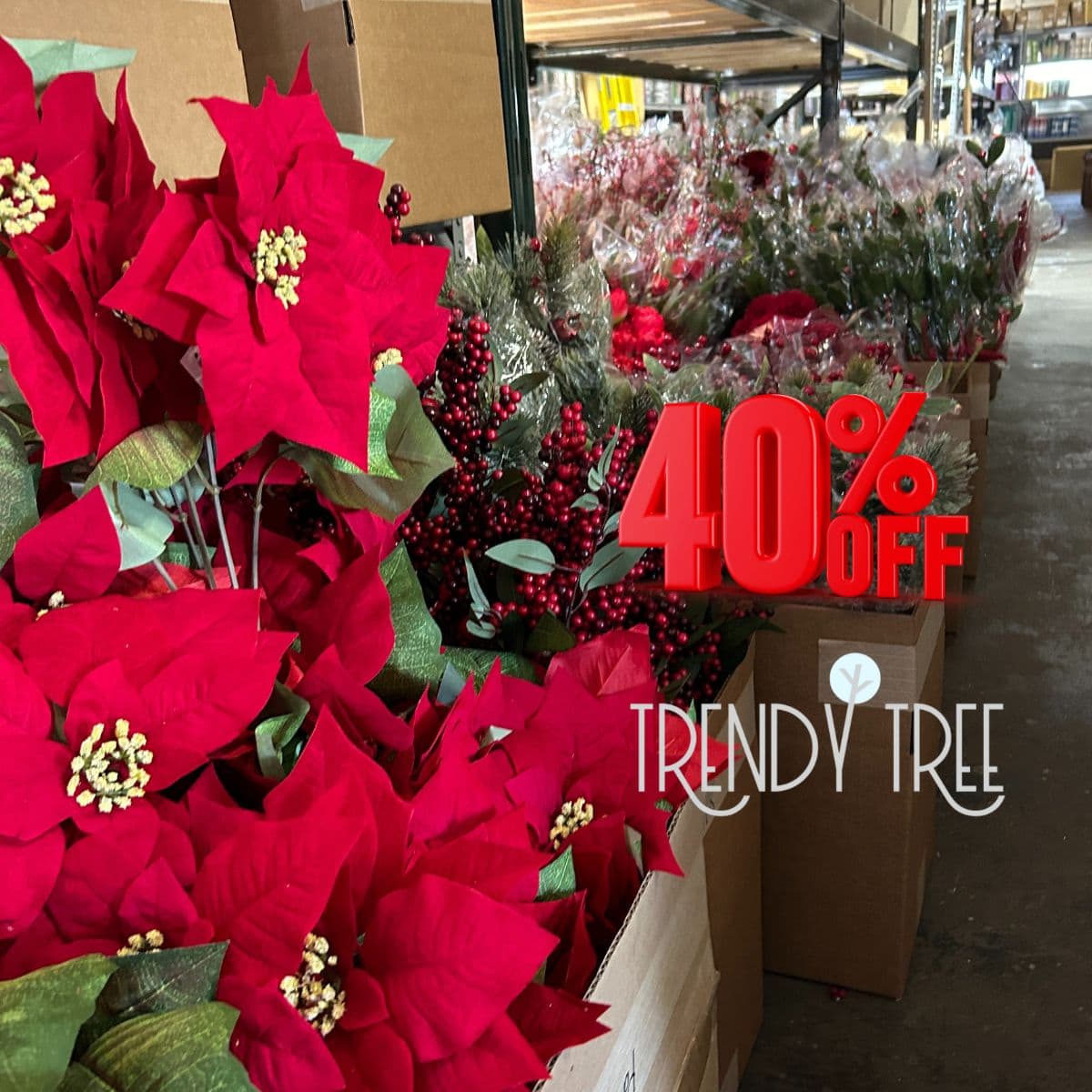 Trendy Tree warehouse sale