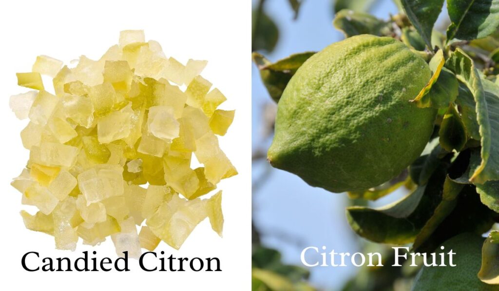 candied citron and fresh citron
