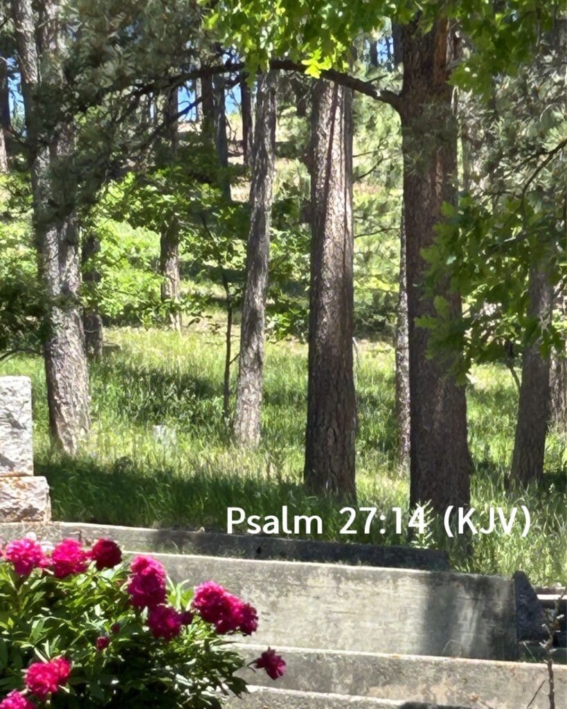 Psalm 27:14 (KJV) – "Wait on the Lord: be of good courage, and he shall strengthen thine heart: wait, I say, on the Lord."