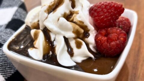 chocolate pudding with extra protein