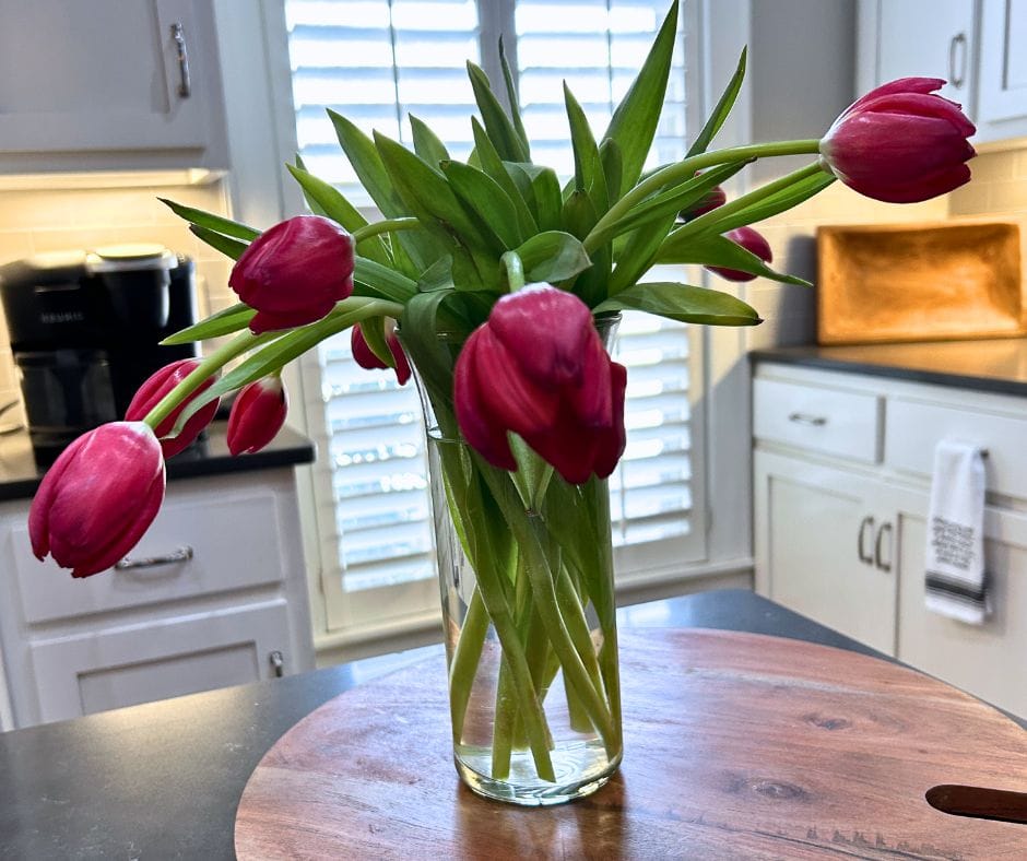 wilted red tulips in a clear vase, patience in everyday life