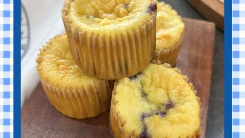 protein muffins